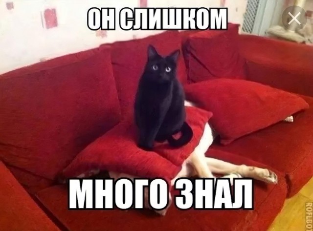 Много знать
