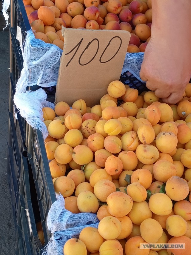 «Продукты официально подорожали на 12%, а реально — на 30». Россияне ждут аномального роста цен и экономят на еде
