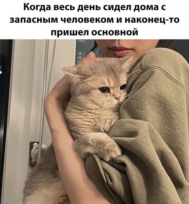 Завалялось тут случайно немного забавных картинок