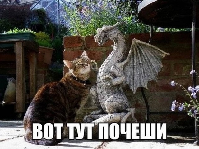 Давно не было....