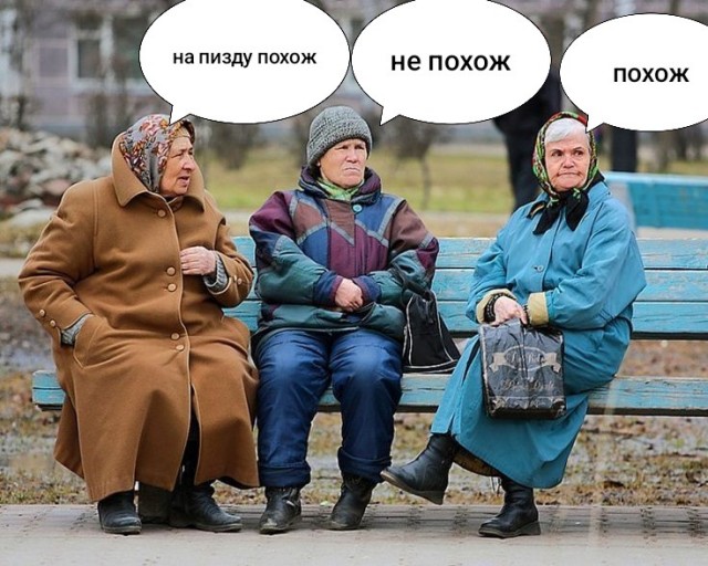 Белый гриб