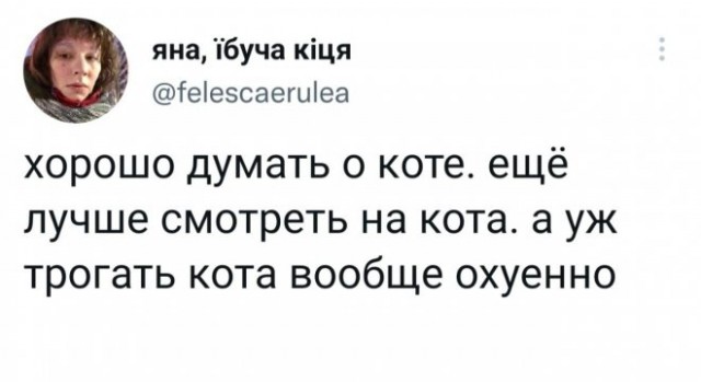 Веселые картинки в пятницу (10.10)