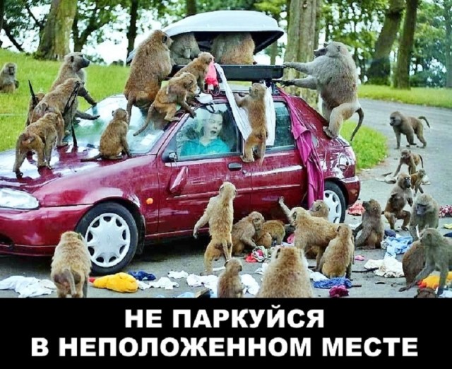 Так себе картинки 29.11.25