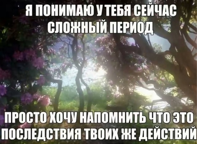 Субботние картинки