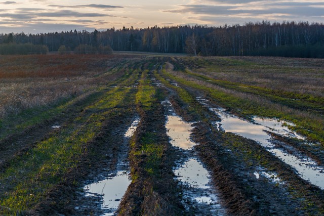 Начало весны в деревне