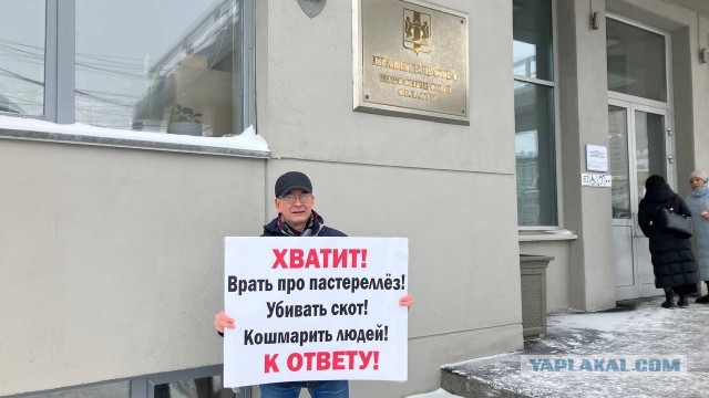 Одиночный пикет против массового уничтожения скота в Новосибирской области