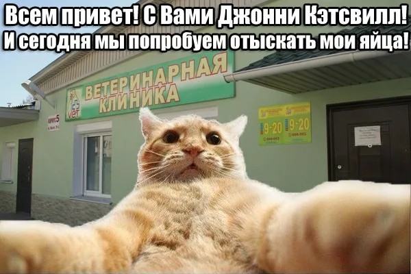 Чудаки