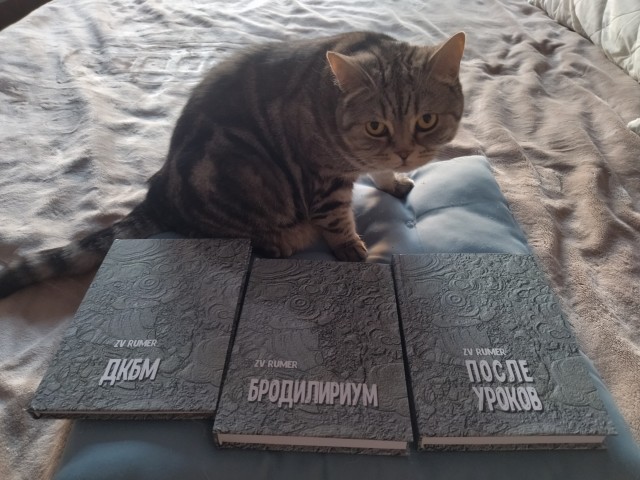 Книга ПОВЕСТИ