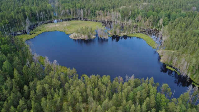 Путешествие по Карелии. Глава 1: Ладожские шхеры. Часть 4.