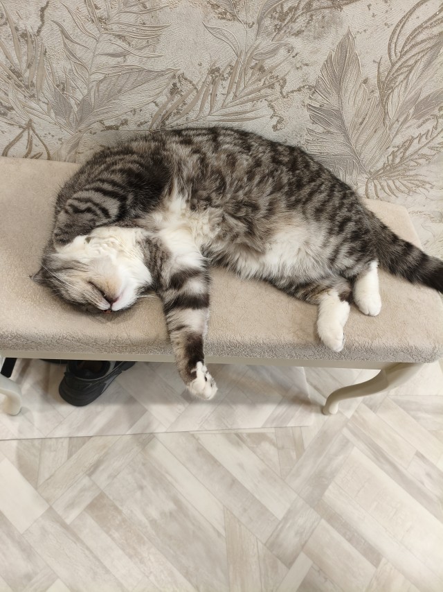Чесалка.