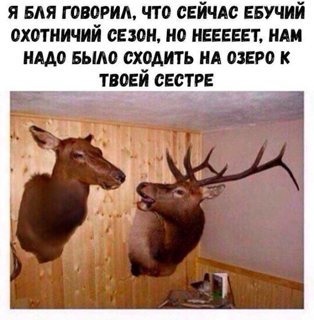 Картинки для деградации 260 (разной степени свежести)