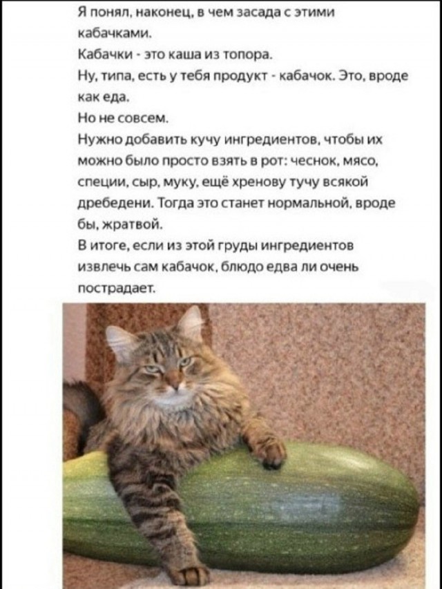 Так себе картинки 28.08.26