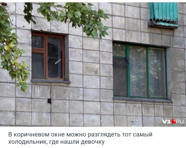 Замороженная в холодильнике студентка из Волгоградской области перестала выходить на связь с середины лета