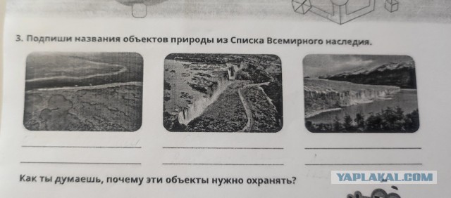Требуется коллективный разум