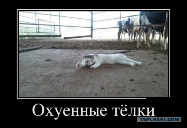 Восстание машин ...