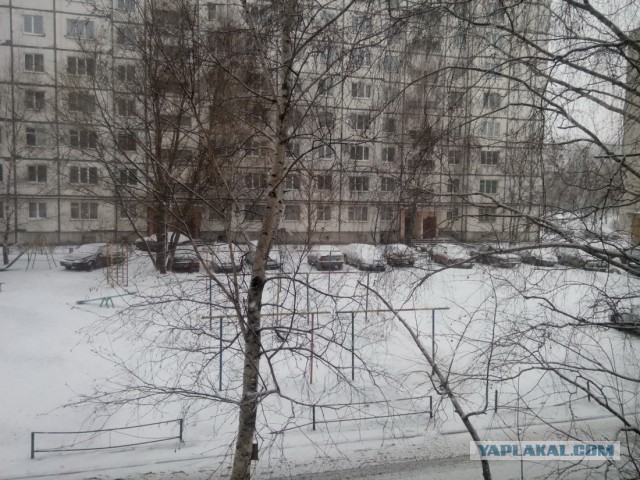 Весна?