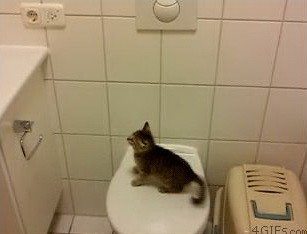 Разбег, прыжок!