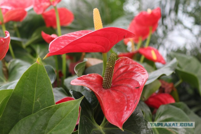 Поездка в Китай или первое путешествие дикарем