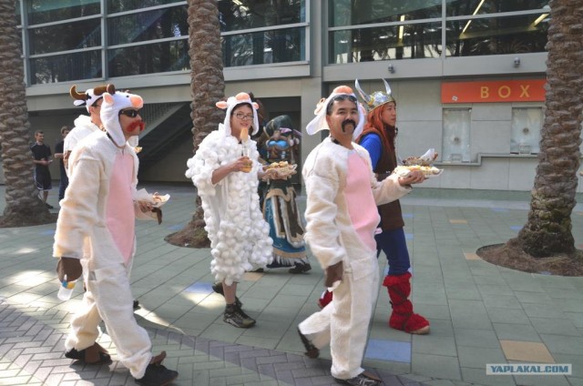 Blizzcon 2011: Конкурс костюмов.