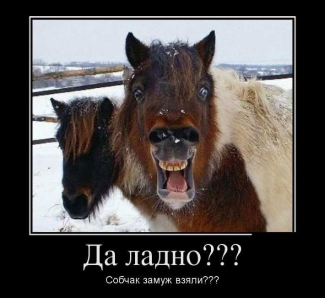 Путин: Зачем ты дал ей слово на пресс-конференции?