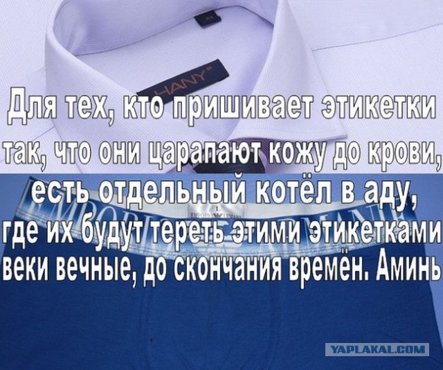 Вторничные картинки