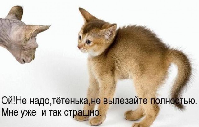 Картинки с буквами -11