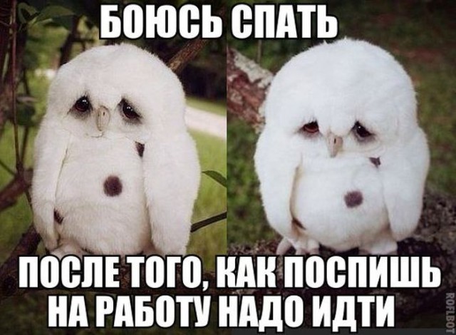 Весёлости