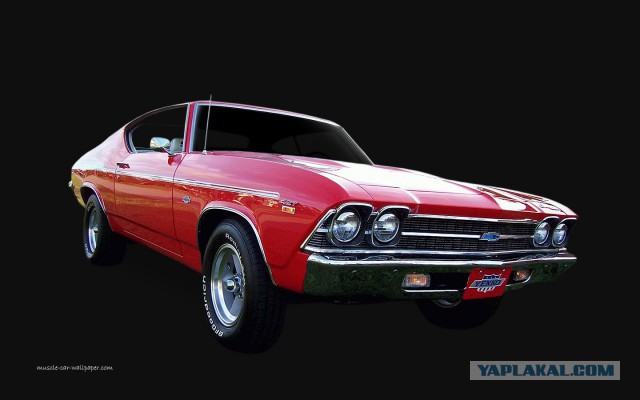 Muscle cars. История сумасшествия