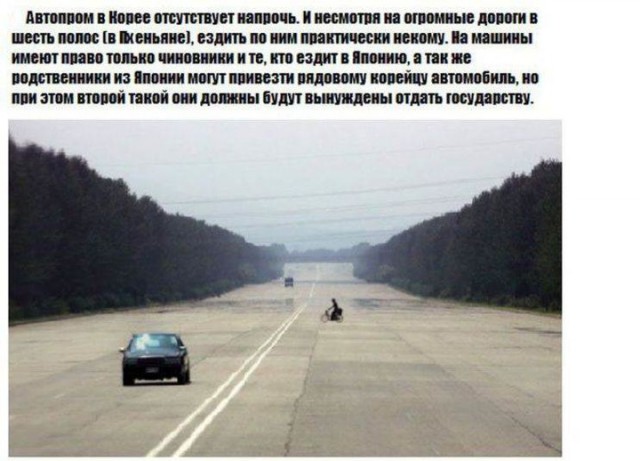 Плюшкиным посвящается