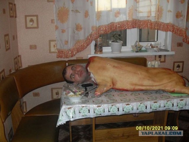 Ужасы и приколы из соцсетей 18+