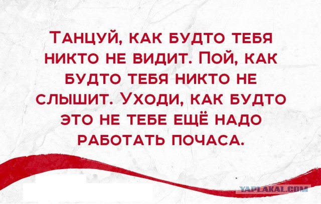 Смешные комментарии из соц. сетей 28.10.15