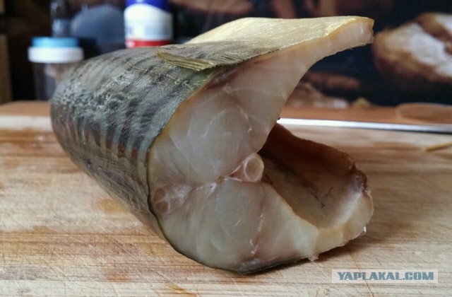 Скумбрия малосольная