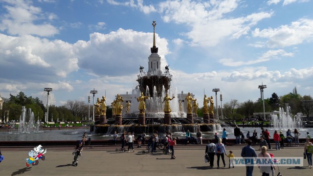 Подборка интересных и веселых фото