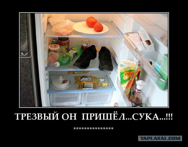 Подборка интересных и веселых картинок