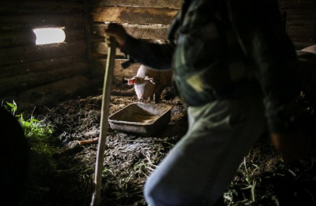 Жизнь в полузаброшенных деревнях Московской области