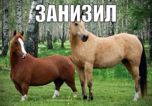 Единственный пост в поддержку цыган. Толерантности пост