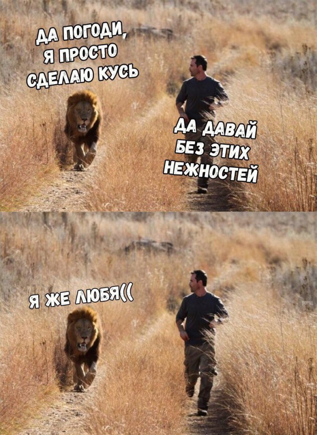 Подборка интересных и веселых картинок
