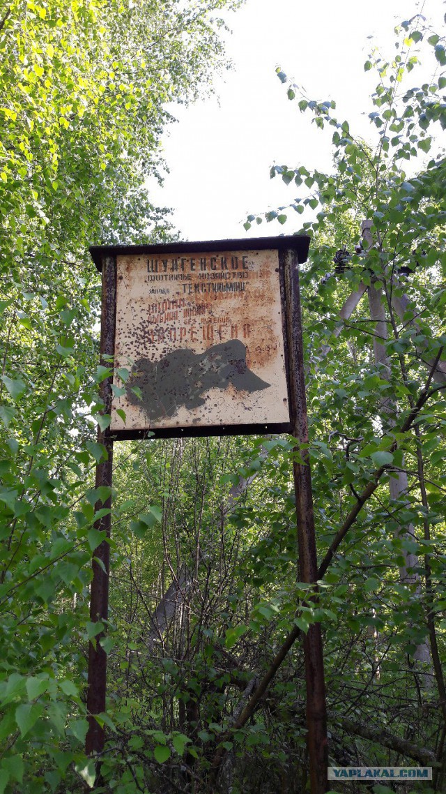 Родина. Костромская область.
