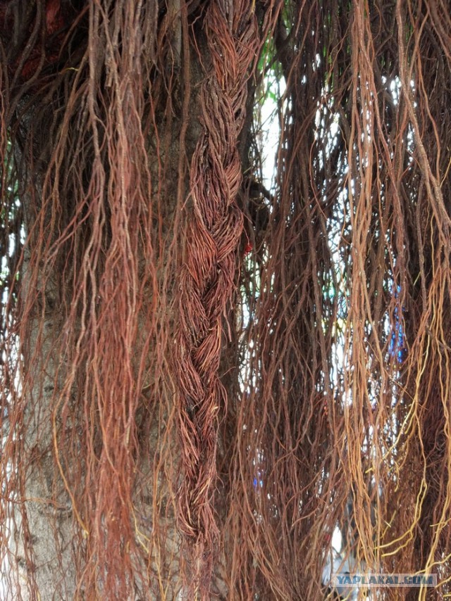 ХАЙНАНЬ. Записки путешественника. Часть первая.