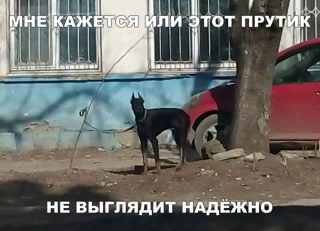 Нестандартный юмор