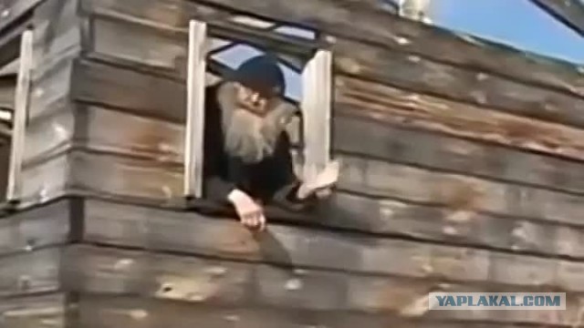 В «мусульманском» городе Швеции девушку в шортах выгнали из автобуса