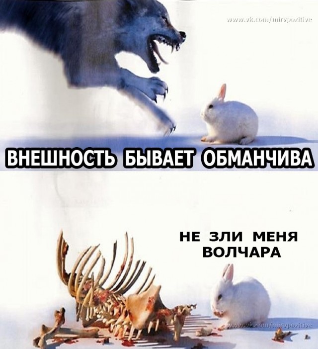 Картинок немного 25.12.19