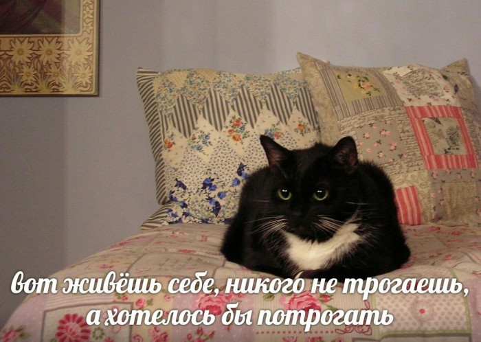 Крепкого сна