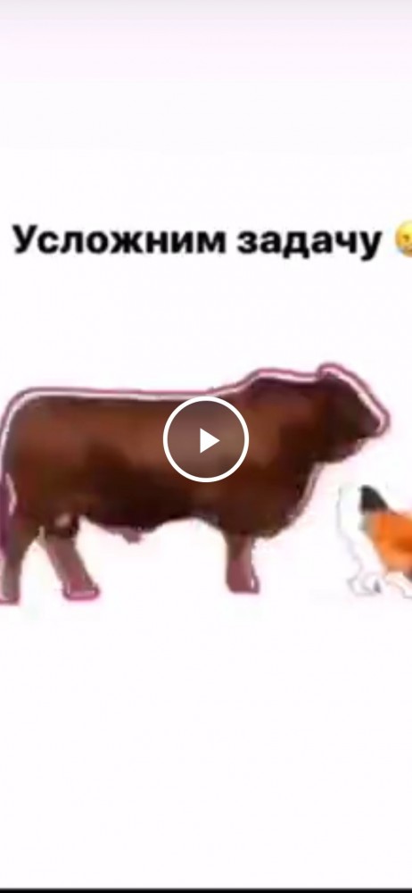 Усложним задачу по ловле курицы