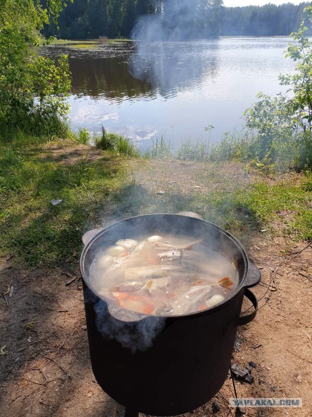 Со своих рыбалок, лето 2019