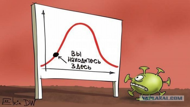 Пандемия. Коронавирус. Россия и мир. Последняя информация. Часть 15