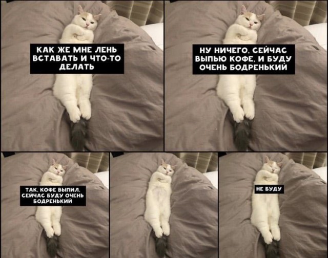 Немного картинок для настроения 88