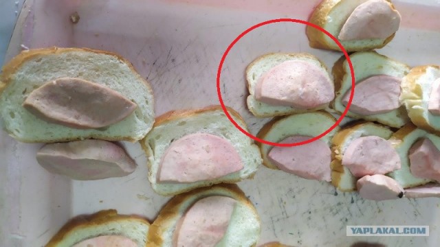 «Для чего работники столовой переводят государственные продукты? Или они думают - наши дети свиньи?»
