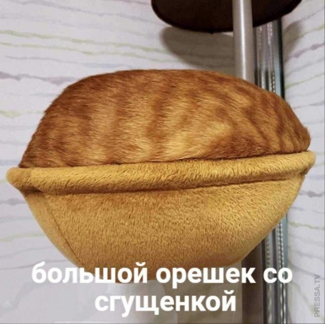 Немного картинок для настроения 12.11.20