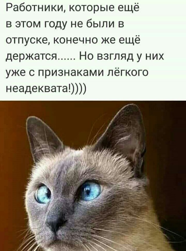 Картинки из недр интернета